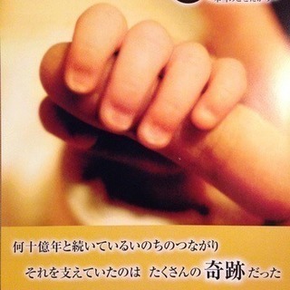 1/4の奇跡〜映画上映会 & 舛岡はなゑ 癒しの講演会 - その他