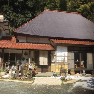 筑紫野市山口1583 古民家 華カフェ 春のお花見ランチ １５００円 (デザート付)の画像