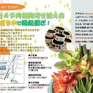 多肉植物寄せ植え☆金のなる木で縁起担ぎ