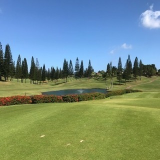 3月19日にラウンド一緒にしませんか？