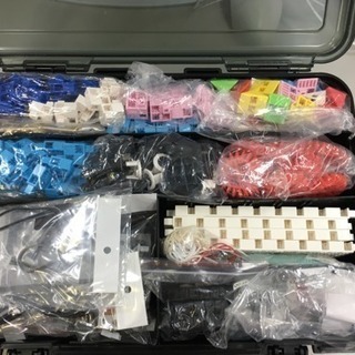 開講特別キャンペーン2月末で終了致します。の画像