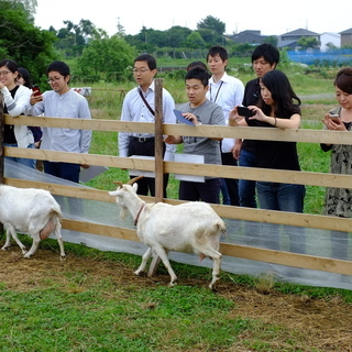 アグリパーク伊勢原　(株)アグリメディアの画像
