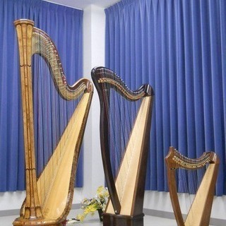 【ハープ教室 生徒さん募集 再開致します】 ♪グランドハープ・アイリッシュハープ♪の画像