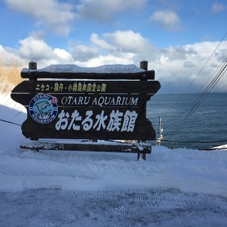 東京開催　北海道民会【北海道出身者、住んだことのある方、大好きな方】 - 千代田区