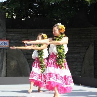 ハワイアンフラ・カヒコ新メンバー募集 - 北区