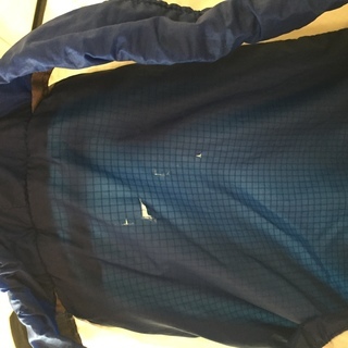 パタゴニア　アセンジョニスト　パック　25Lの画像