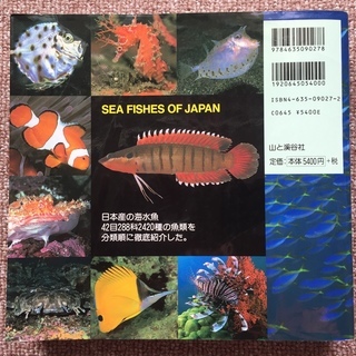日本の海水魚 (山渓カラー名鑑) 大型本の画像
