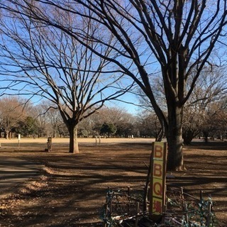 ウォーキングサークルのメンバー一緒にウォーキングするメンバー募集...