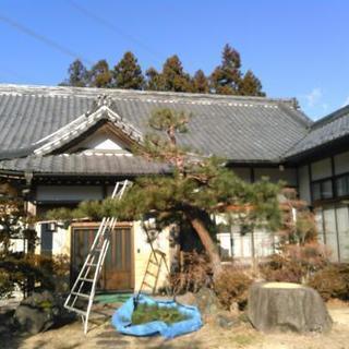 軽井沢での造園や、嬬恋村での植木管理のお手伝いの画像