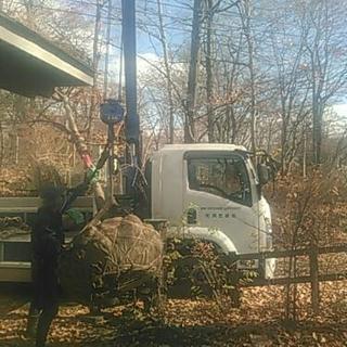 軽井沢での造園や、嬬恋村での植木管理のお手伝いの画像