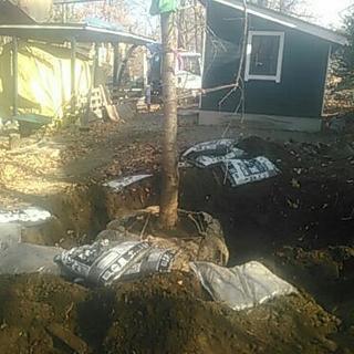 軽井沢での造園や、嬬恋村での植木管理のお手伝いの画像