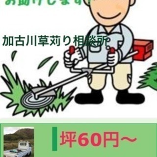 草刈り坪60円〜見積り無料 (リボーン) 東加古川の草刈りの無料