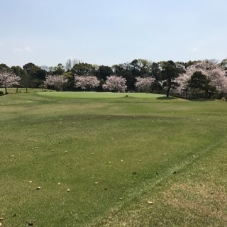 ☆ニナゴルフ部設立☆