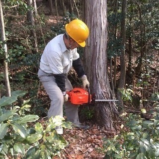 造園 設計 施工 庭木剪定 立ち木伐採 草刈り
