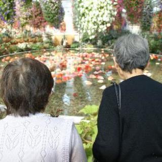 ケアマネさん募集☆月30hから応相談☆ダブルワークの方歓迎!　勤務日数ご相談下さい!の画像