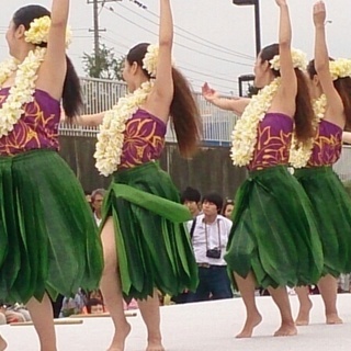市川でフラダンス　リフレッシュしませんか？の画像