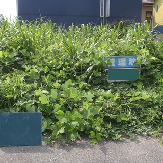 空き家　空き地　お庭　草刈り　　管理でお困りではありませんか？　...
