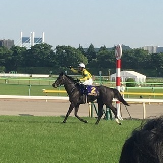 2/17 東京競馬