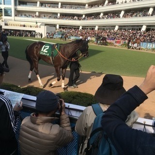 2/17 東京競馬 - 江東区