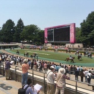 2/17 東京競馬 - スポーツ