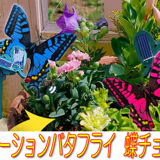 ★（新品未使用品）ソーラーモーションバタフライ★