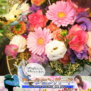 ★（新品未使用品）ソーラー フライングバード★