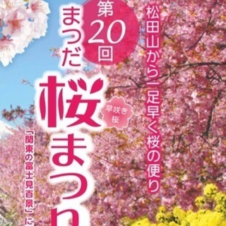 河津桜(2/25日)