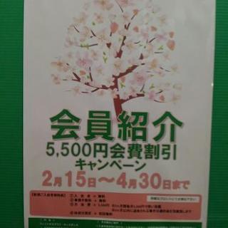 ベビースイミング、キッズスイミングの画像