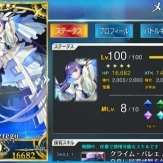 fate好きな人(FGO,SN,Apo,プリヤ,EX話せます)千...