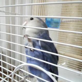 ありがとうございます決まりました