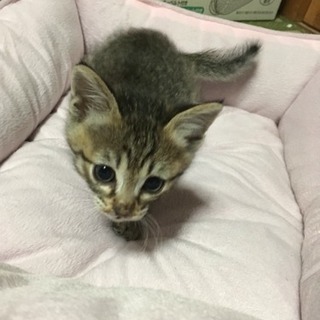 ※ありがとうございました。受付終了しました※