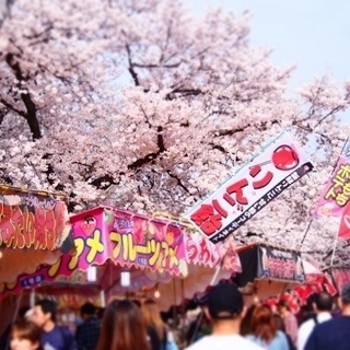 3/31(土)13:00～200名縁結び☆激レア大縁会【最強ご利...