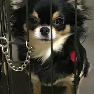 良縁に恵まれました♪の画像