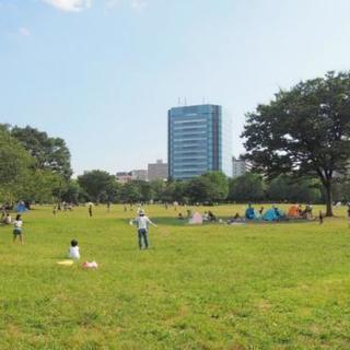 【3/4(日)】木場公園ごみ拾いボランティア&ウォーキング