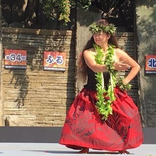 ハワイアンフラ・カヒコ新メンバー募集 - 友達