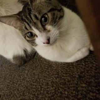 甘えん坊なにぃにぃ😸