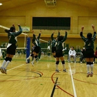 鎌倉市 小学生 バレーボール 募集