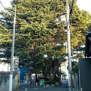 みんなdeお散歩★人形町 🌺 2/24(土)15:00～ 🌺 現15名☆甘酒横丁/食べ歩き～小網神社 /銭洗い弁天  − 東京都