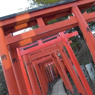 みんなdeお散歩★人形町 🌺 2/24(土)15:00～ 🌺 現15名☆甘酒横丁/食べ歩き～小網神社 /銭洗い弁天  - メンバー募集