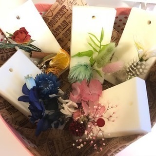 CaraFiore  フリーレッスンの画像