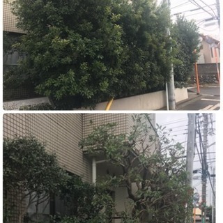 アパート マンション緑地管理お任せを【埼玉県 東京都 所沢市 入...
