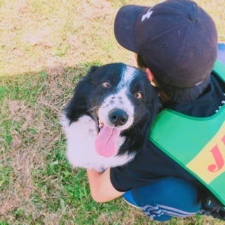 犬のしつけ教室・ようちえんなど