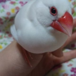 ❤️女友達募集中〰️❤️