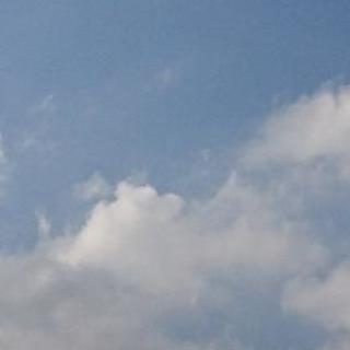 社会人 バトミントン？
