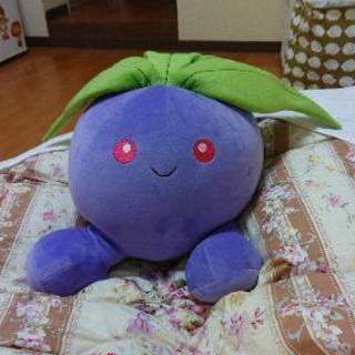 2/23ポケモンセンター 福岡/ポケモンストア大分