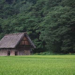 使わない田んぼ・畑などの農地、住まなくなる実家の処分に困ったらお気軽にご相談ください。の画像