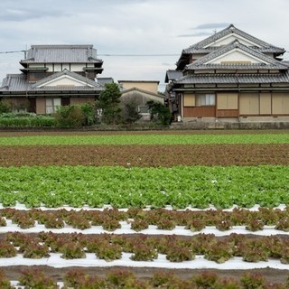 使わない田んぼ・畑などの農地、住まなくなる実家の処分に困ったらお気軽にご相談ください。 − 茨城県