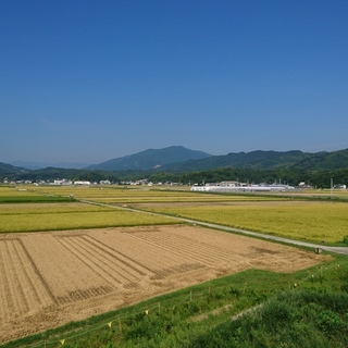 移住者歓迎、田舎暮らし古民家賃貸でました。地域貢献、大家直ですの...