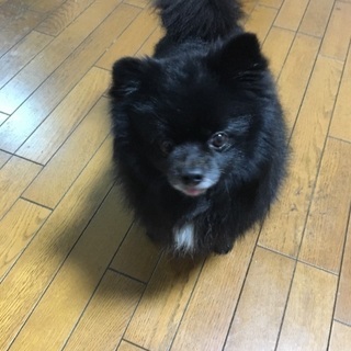 大切に育ててくれる方！