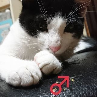可愛がって下さる方を探しています☆